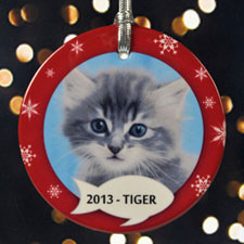 Personalized Kitty’s Christmas