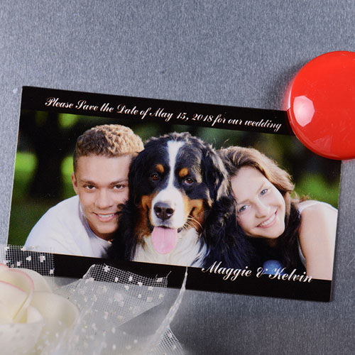 Create Our Memories Save The Date Photo 2x3.5 Card Size Magnet